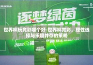 世界杯玩竞彩哪个好-世界杯竞彩，理性选择与乐趣并存的策略