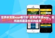 世界杯竞猜app哪个好-世界杯竞猜app，如何选择最适合您的应用