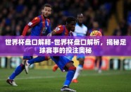 世界杯盘口解释-世界杯盘口解析，揭秘足球赛事的投注奥秘