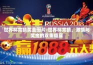 世界杯竞猜奖金图片-世界杯竞猜，激情与奖金的双重盛宴
