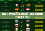 用什么下注世界杯-世界杯，智慧与激情的双重下注