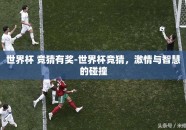 世界杯 竞猜有奖-世界杯竞猜，激情与智慧的碰撞
