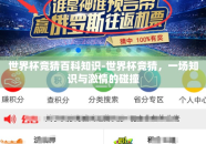 世界杯竞猜百科知识-世界杯竞猜，一场知识与激情的碰撞