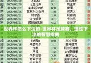 世界杯怎么下注的-世界杯足球赛，理性下注的智慧指南
