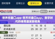 世界杯盘口app-世界杯盘口app，数字时代的体育盛宴新视角