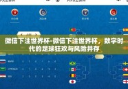 微信下注世界杯-微信下注世界杯，数字时代的足球狂欢与风险并存