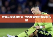 世界杯竞猜用什么-世界杯竞猜的智慧与乐趣