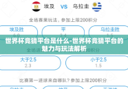世界杯竞猜平台是什么-世界杯竞猜平台的魅力与玩法解析