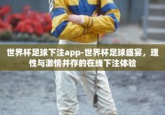 世界杯足球下注app-世界杯足球盛宴，理性与激情并存的在线下注体验