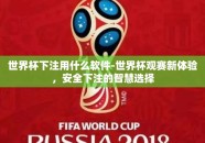 世界杯下注用什么软件-世界杯观赛新体验，安全下注的智慧选择