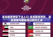 亚足联世界杯下注入口-亚足联世界杯，足球激情与智慧投注的交汇点