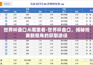 世界杯盘口从哪里看-世界杯盘口，揭秘观赛新视角的获取途径