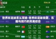世界杯足球怎么竞猜-世界杯足球竞猜，乐趣与技巧的完美结合
