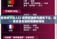 世界杯下注入口-世界杯激情与理性下注，探索安全合法的观赛新体验