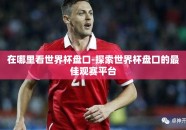 在哪里看世界杯盘口-探索世界杯盘口的最佳观赛平台