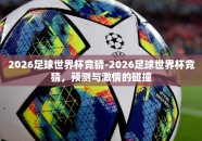2026足球世界杯竞猜-2026足球世界杯竞猜，预测与激情的碰撞