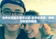 世界杯竞猜在哪可以买-世界杯竞猜，激情与智慧的碰撞