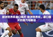 欧洲世界杯盘口图片-欧洲世界杯，盘口图片的魅力与解读