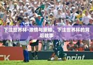 下注世界杯-激情与策略，下注世界杯的背后故事