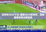 世界杯2026下注-展望2026世界杯，足球盛宴的投注新篇章