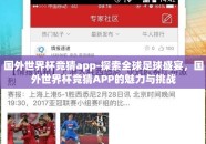 国外世界杯竞猜app-探索全球足球盛宴，国外世界杯竞猜APP的魅力与挑战