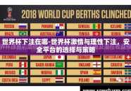 世界杯下注在哪-世界杯激情与理性下注，安全平台的选择与策略