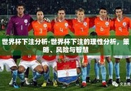 世界杯下注分析-世界杯下注的理性分析，策略、风险与智慧