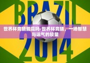 世界杯竞猜能赢吗-世界杯竞猜，一场智慧与运气的较量