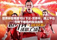 世界杯在哪里可以下注-世界杯，线上平台与线下体验的投注选择