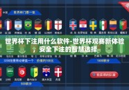 世界杯下注用什么软件-世界杯观赛新体验，安全下注的智慧选择