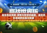 看世界杯竞猜-激情与智慧的碰撞，看世界杯竞猜的乐趣与策略