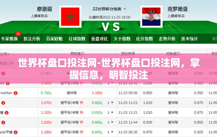 世界杯盘口投注网-世界杯盘口投注网，掌握信息，明智投注
