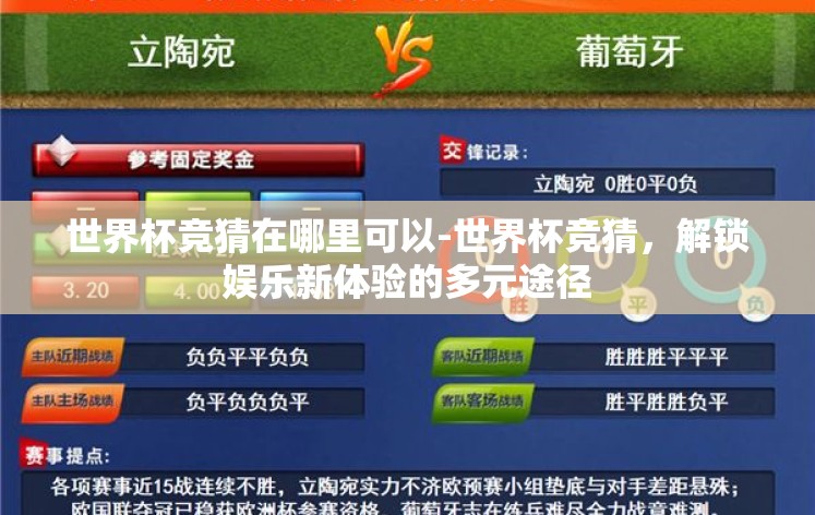 世界杯竞猜在哪里可以-世界杯竞猜，解锁娱乐新体验的多元途径