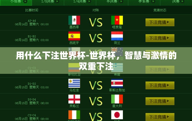 用什么下注世界杯-世界杯,智慧与激情的双重下注 用什么下注世界杯-世界杯,智慧与激情的双重下注
