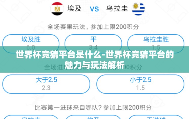 世界杯竞猜平台是什么-世界杯竞猜平台的魅力与玩法解析