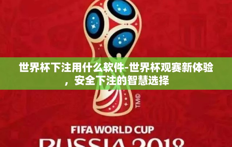 世界杯下注用什么软件-世界杯观赛新体验，安全下注的智慧选择