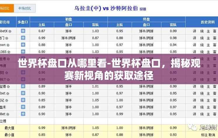 世界杯盘口从哪里看-世界杯盘口,揭秘观赛新视角的获取途径 世界杯盘口从哪里看-世界杯盘口,揭秘观赛新视角的获取途径