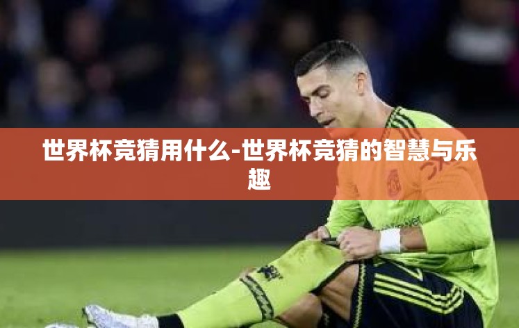 世界杯竞猜用什么-世界杯竞猜的智慧与乐趣