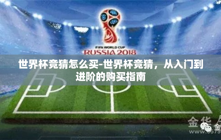 世界杯竞猜怎么买-世界杯竞猜，从入门到进阶的购买指南