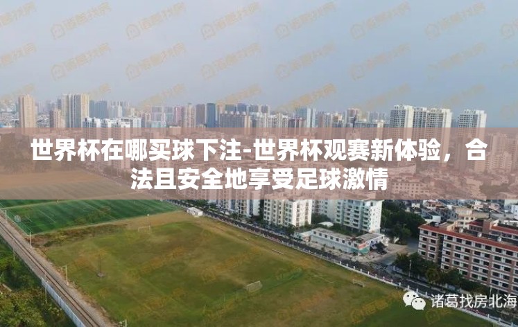 世界杯在哪买球下注-世界杯观赛新体验，合法且安全地享受足球激情