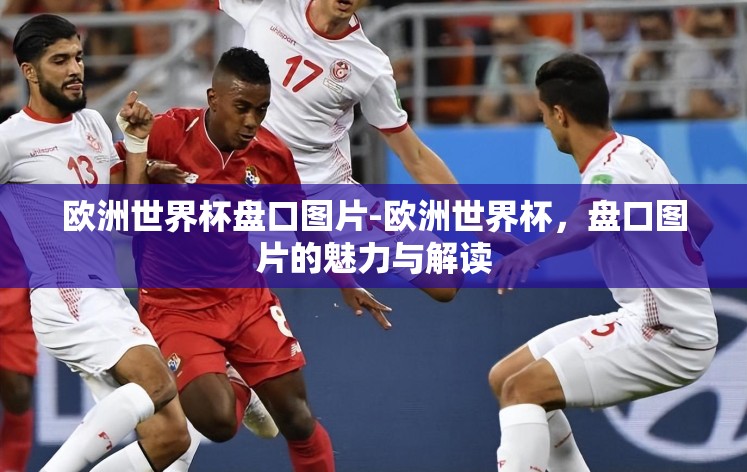 欧洲世界杯盘口图片-欧洲世界杯，盘口图片的魅力与解读