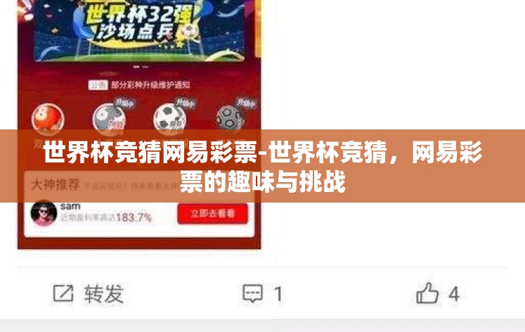 世界杯竞猜网易彩票-世界杯竞猜,网易彩票的趣味与挑战 世界杯竞猜网易彩票-世界杯竞猜,网易彩票的趣味与挑战