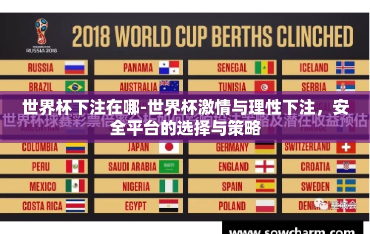 世界杯下注在哪-世界杯激情与理性下注,安全平台的选择与策略 世界杯下注在哪-世界杯激情与理性下注,安全平台的选择与策略