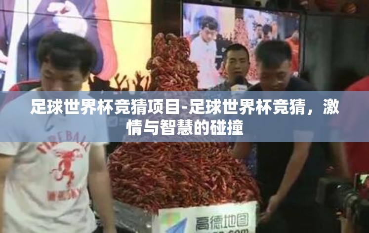 足球世界杯竞猜项目-足球世界杯竞猜，激情与智慧的碰撞