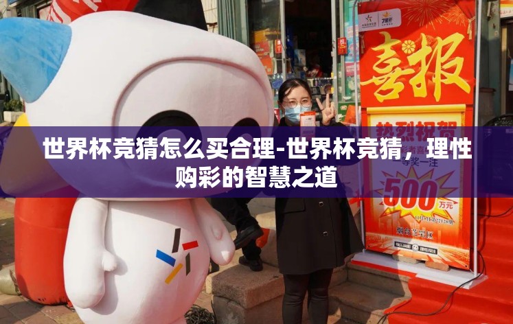 世界杯竞猜怎么买合理-世界杯竞猜，理性购彩的智慧之道