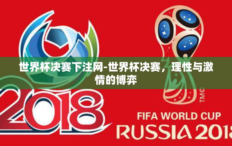 世界杯决赛下注网-世界杯决赛，理性与激情的博弈