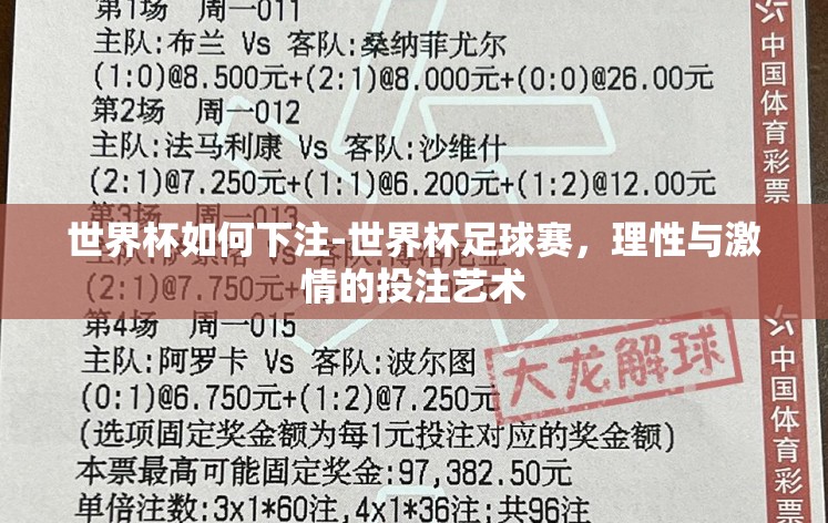世界杯如何下注-世界杯足球赛，理性与激情的投注艺术