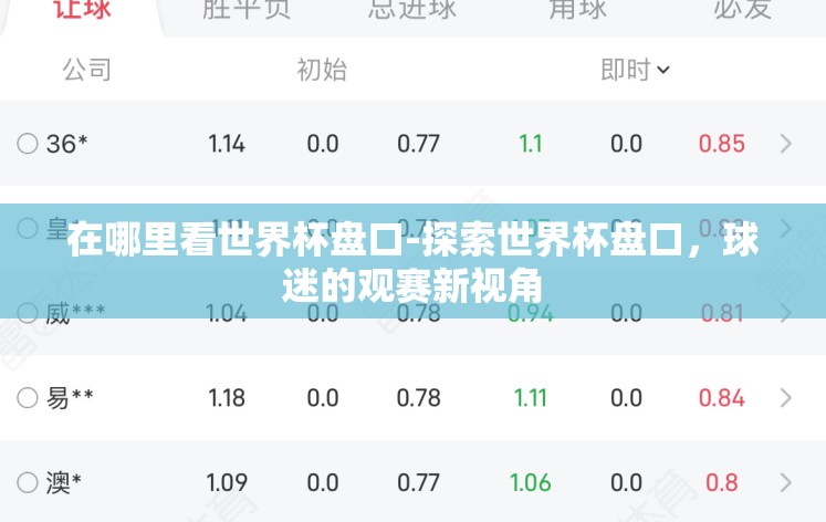 在哪里看世界杯盘口-探索世界杯盘口，球迷的观赛新视角