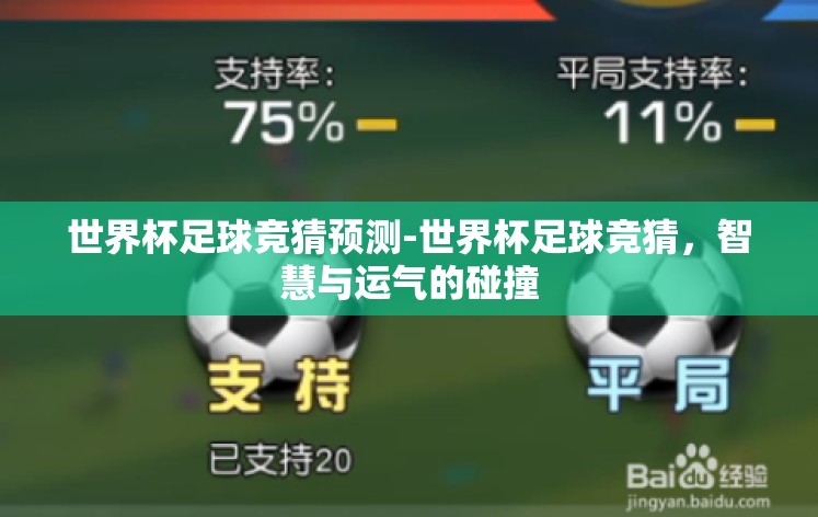 世界杯足球竞猜预测-世界杯足球竞猜，智慧与运气的碰撞