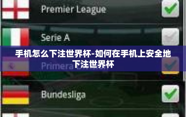 手机怎么下注世界杯-如何在手机上安全地下注世界杯 手机怎么下注世界杯-如何在手机上安全地下注世界杯